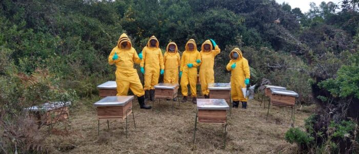 WhatsApp Image 2022-04-22 at 10.53.55 AM